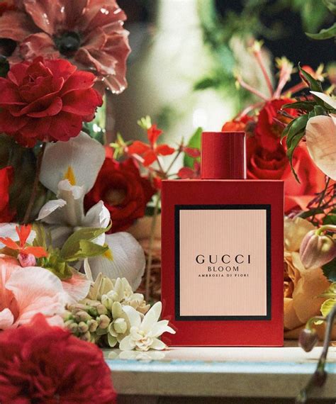 gucci bloom perfume collection.